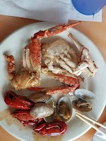 Dungeness Crab